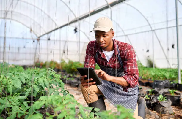 Yeesal Agri-Hub