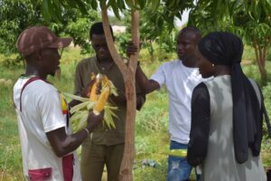 Picture of Agribusiness